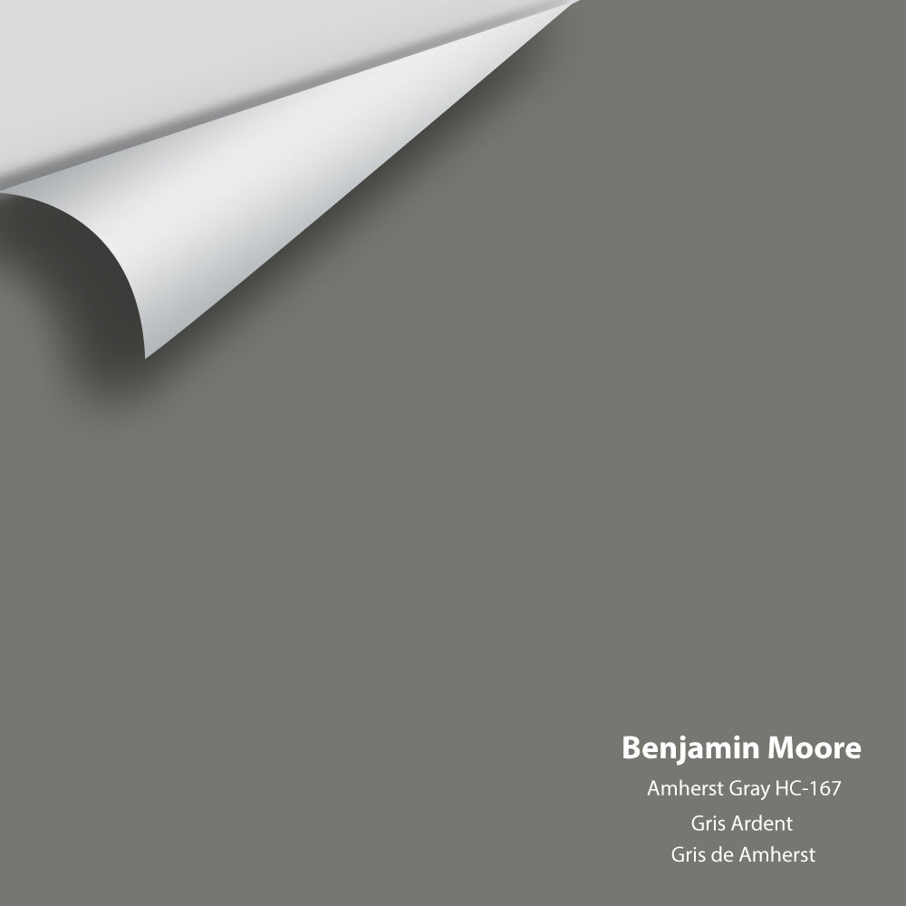 Benjamin Moore - Amherst Gray HC-167 Colour Sample