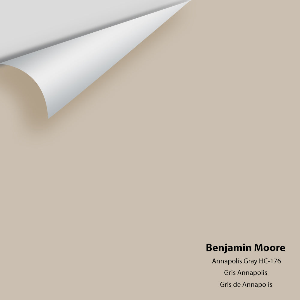 Benjamin Moore - Annapolis Gray HC-176 Colour Sample
