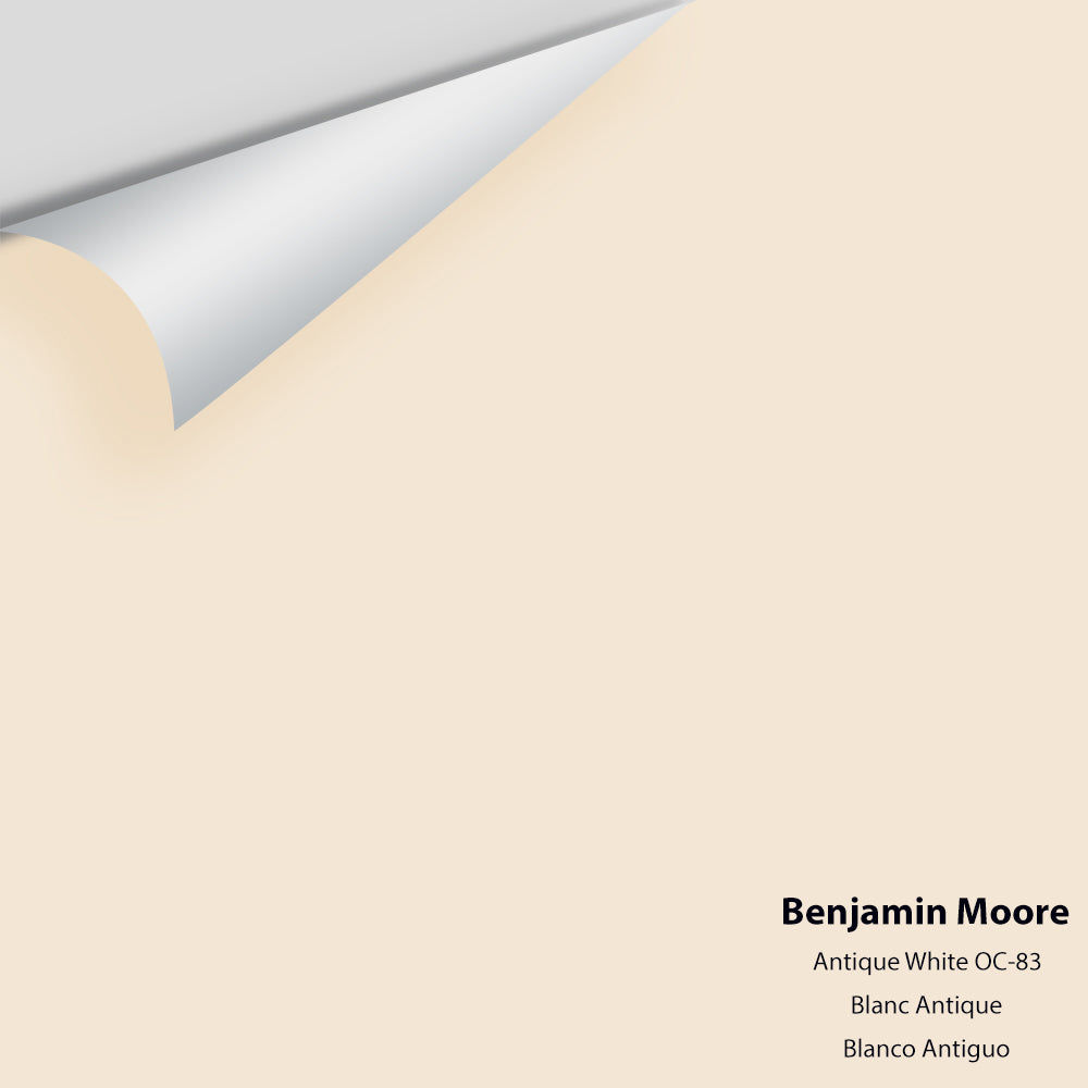 Benjamin Moore - Antique White 909 / OC-83 Colour Sample