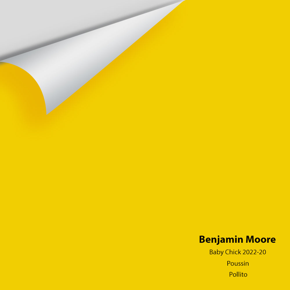 Big Paint Chip - Baby Chick 2023-20