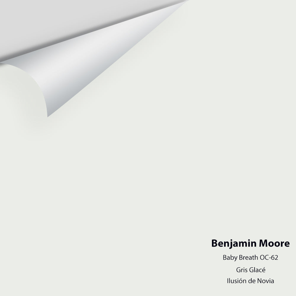 Benjamin Moore - Baby's Breath 873 / OC-62 Colour Sample