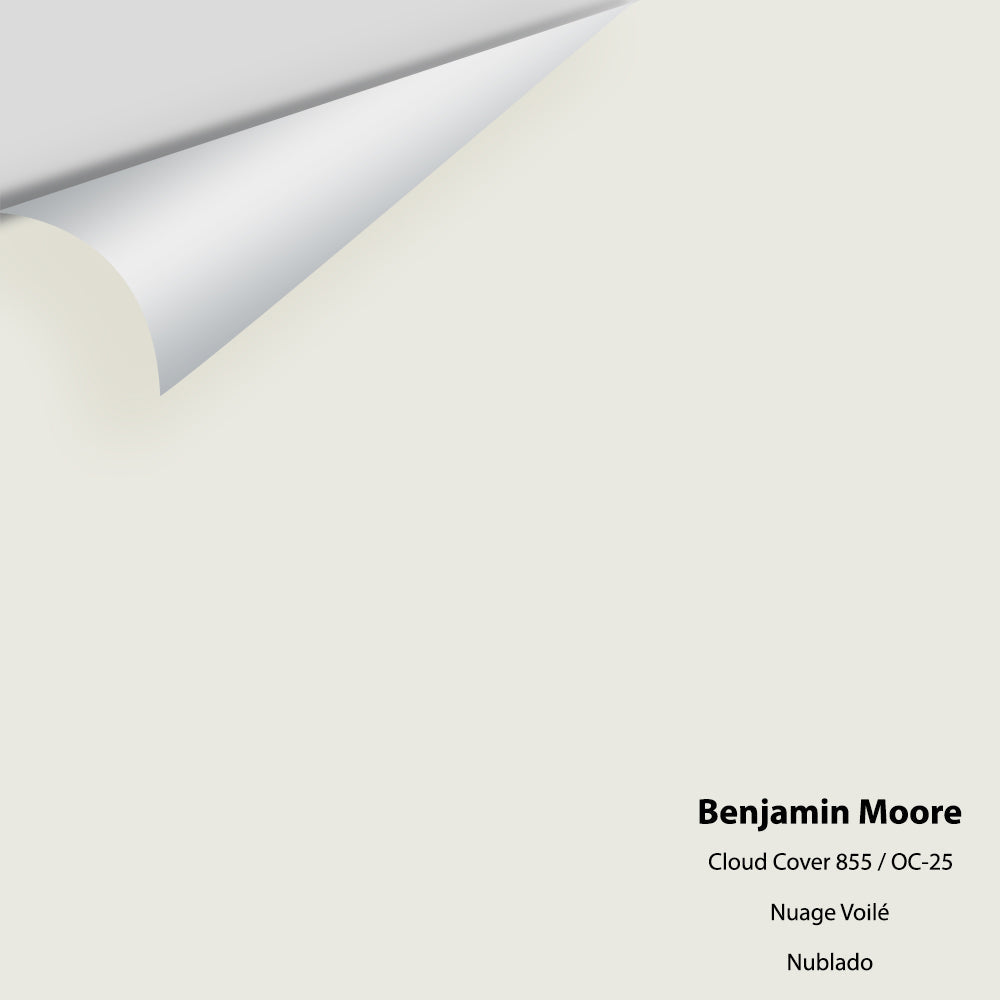 Benjamin Moore - Cloud Cover 855 / OC-25 Colour Sample