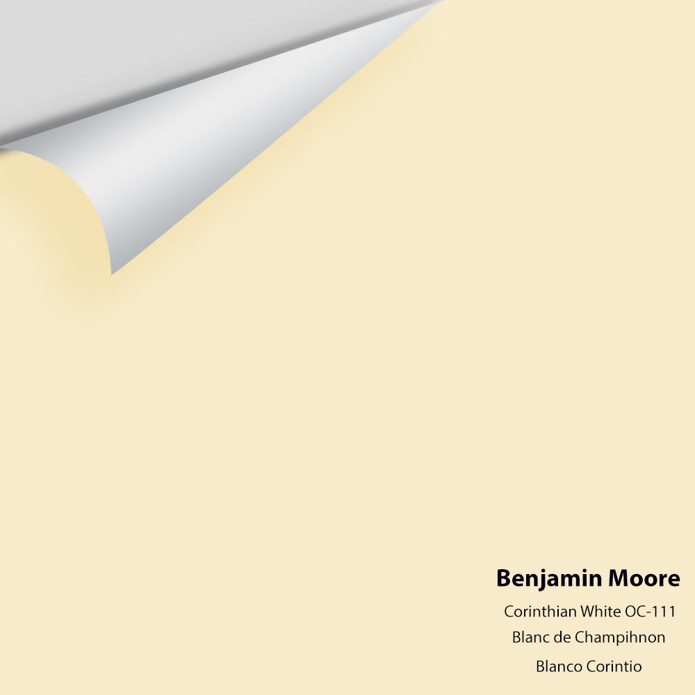 Big Paint Chip - Corinthian White 162 / OC-111