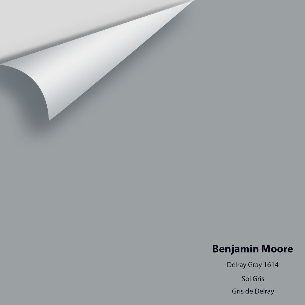 Benjamin Moore - Delray Gray 1614 Colour Sample