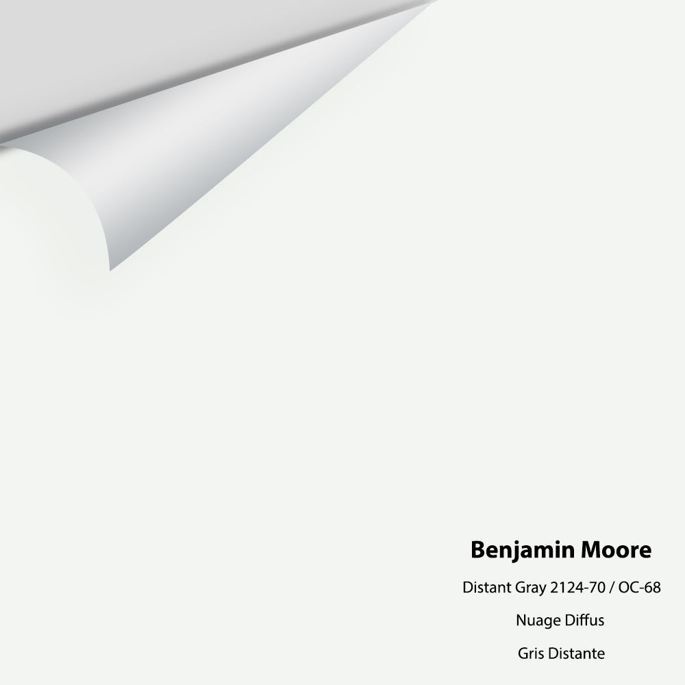 Benjamin Moore - Distant Gray - 2124-70 / OC-68 Colour Sample