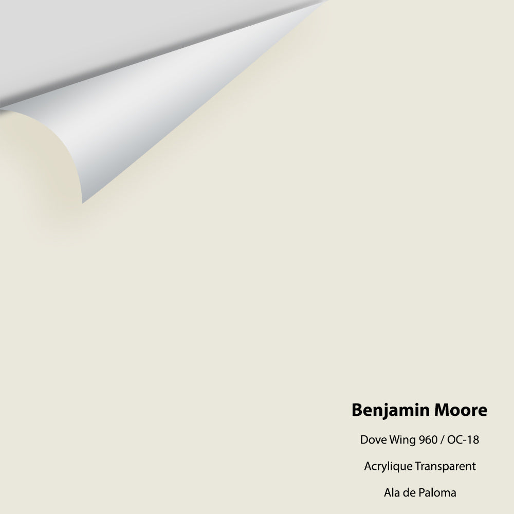 Benjamin Moore - Dove Wing 960 / OC-18 Colour Sample – Centerpoint ...