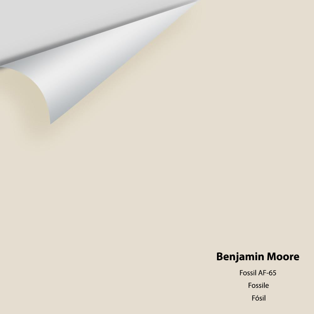 Benjamin Moore - Fossil AF-65 Colour Sample