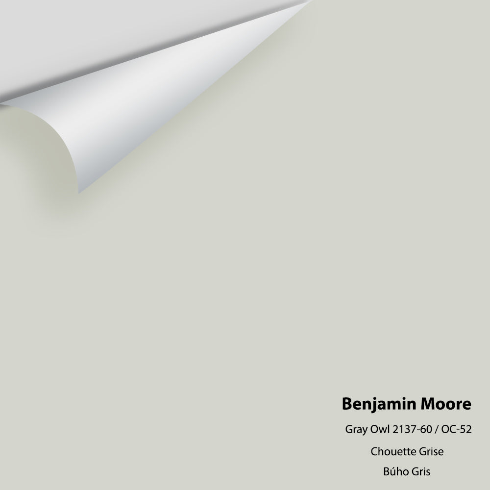 Benjamin Moore - Gray Owl 2137-60 / OC-52 Colour Sample