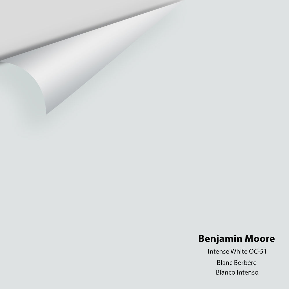 Benjamin Moore - Intense White OC-51 Colour Sample