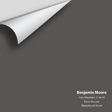Benjamin Moore - Iron Mountain 2134-30 Colour Sample