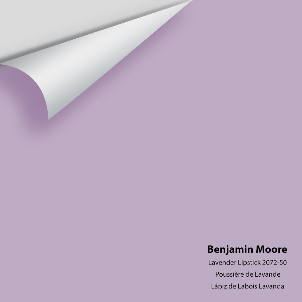 Big Paint Chip - Lavender Lipstick 2072-50
