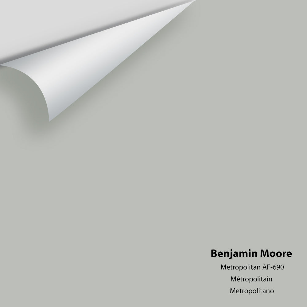 Benjamin Moore - Metropolitan AF-690 Colour Sample