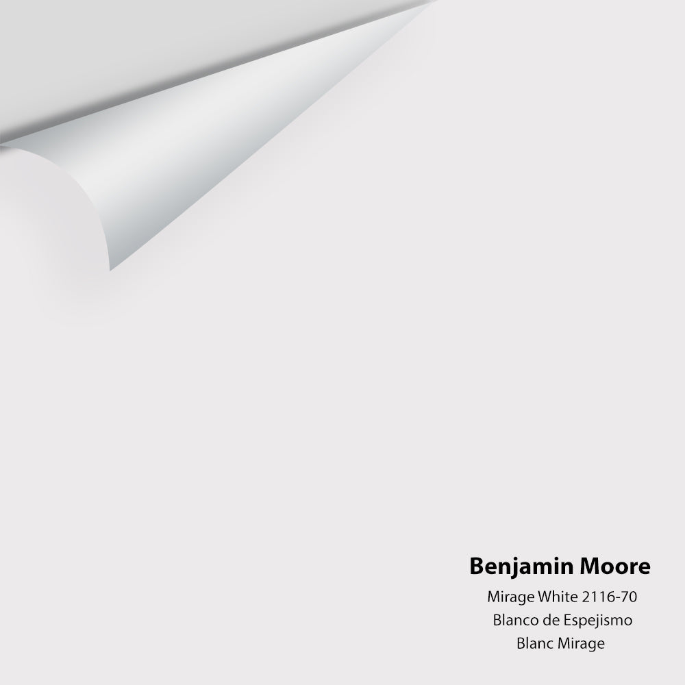 Big Paint Chip - Mirage White 2116-70