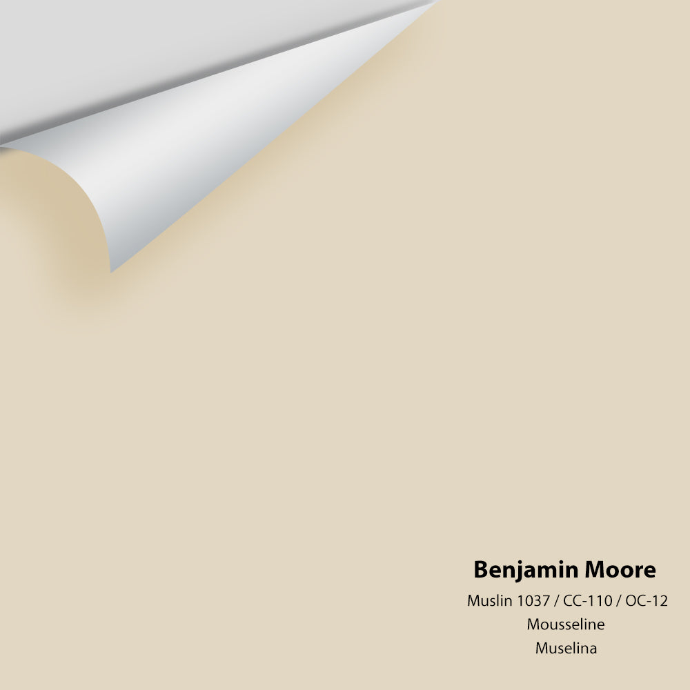 Benjamin Moore - Muslin 1037 / CC-110 / OC-12 Colour Sample