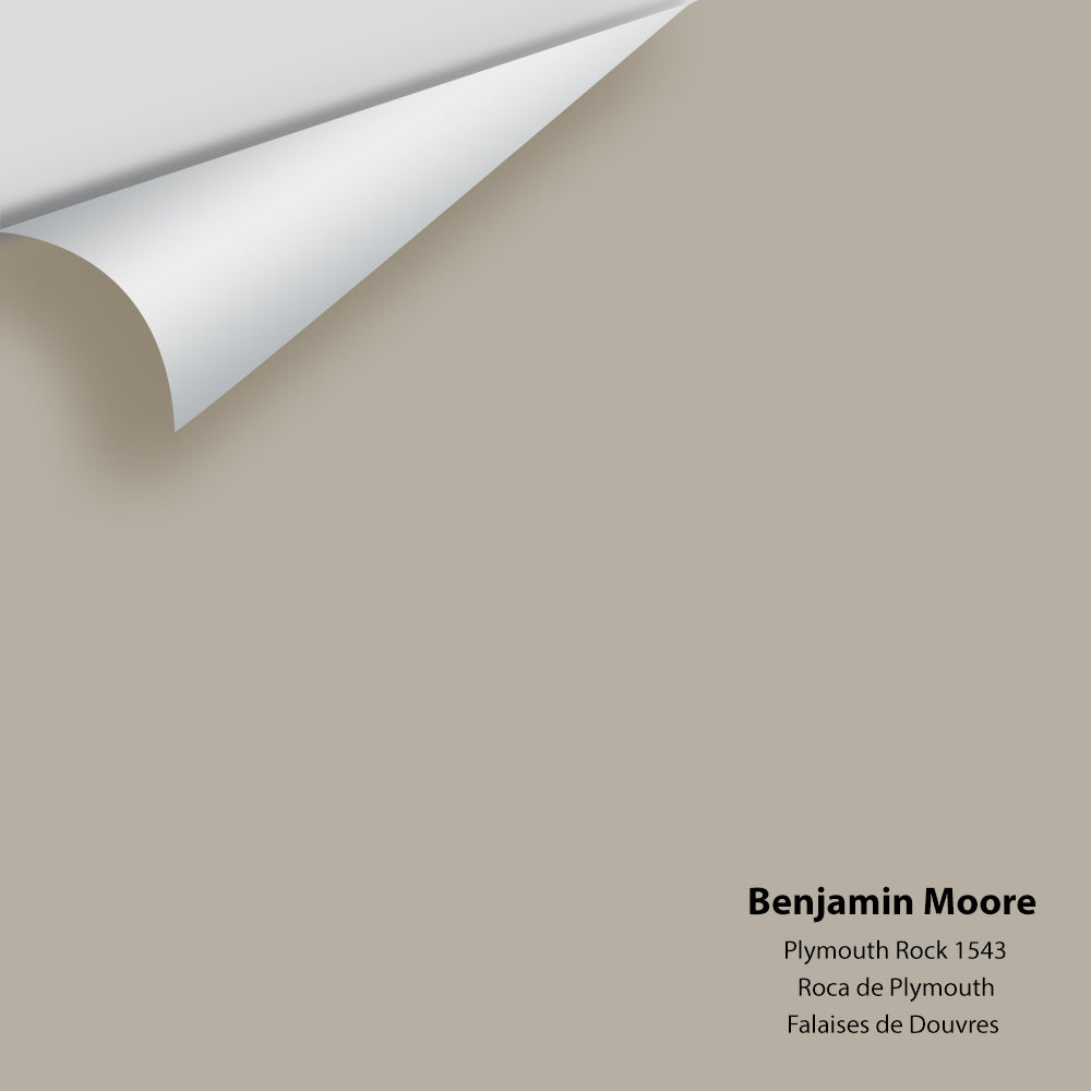 Benjamin Moore - Plymouth Rock 1543 Colour Sample