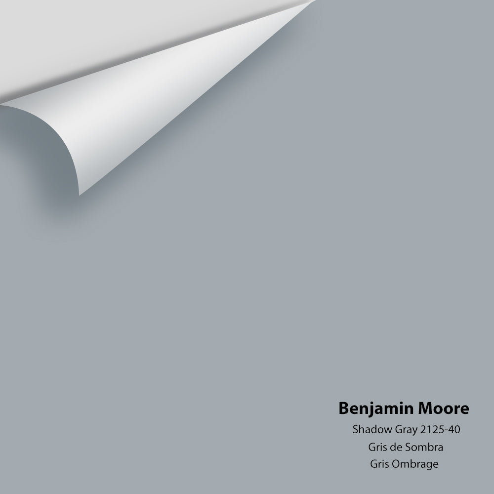 Benjamin Moore - Shadow Gray 2125-40 Colour Sample