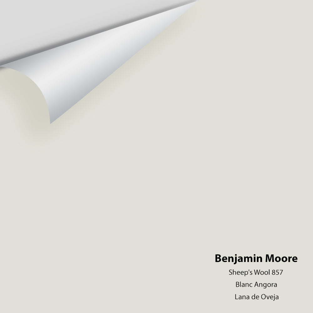 Benjamin Moore - Sheep's Wool 857 Colour Sample