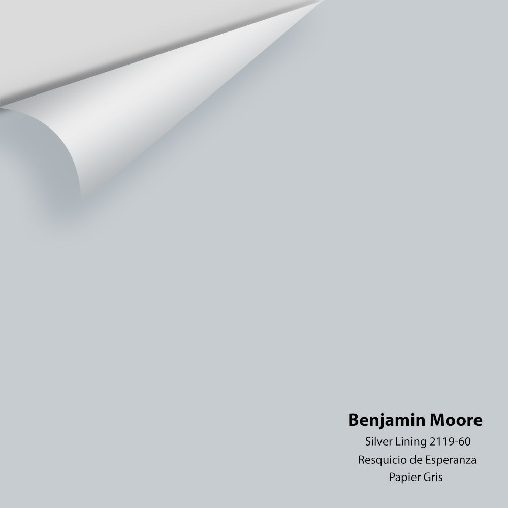 Benjamin Moore Silver Lining