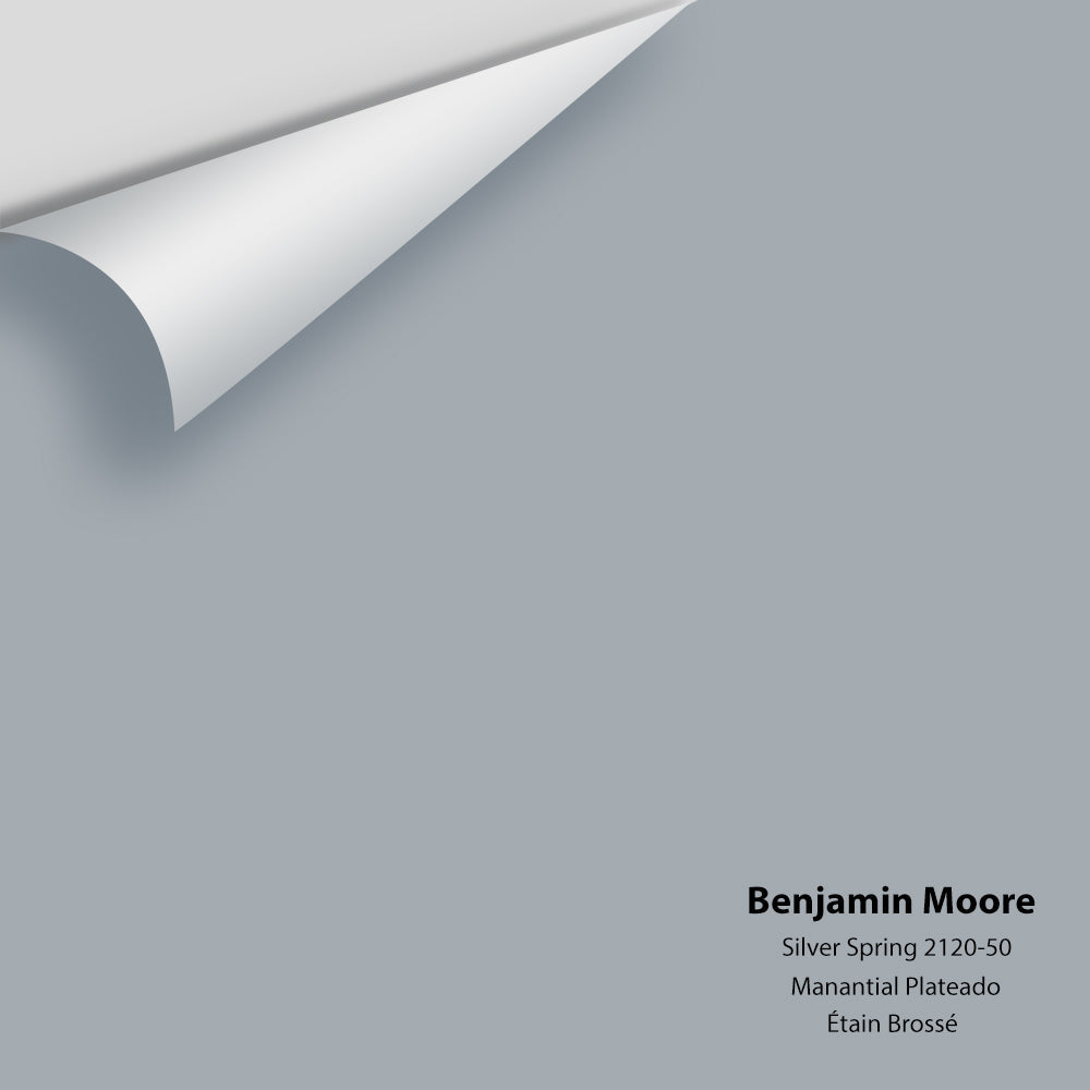 Benjamin Moore - Silver Spring 2120-50 Colour Sample