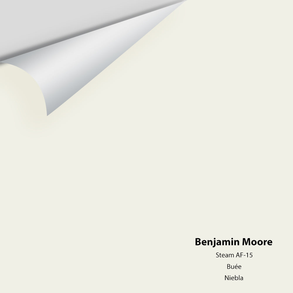Benjamin Moore - Steam AF-15 Colour Sample
