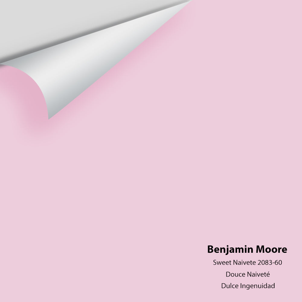 Big Paint Chip - Sweet Naivete 2083-60