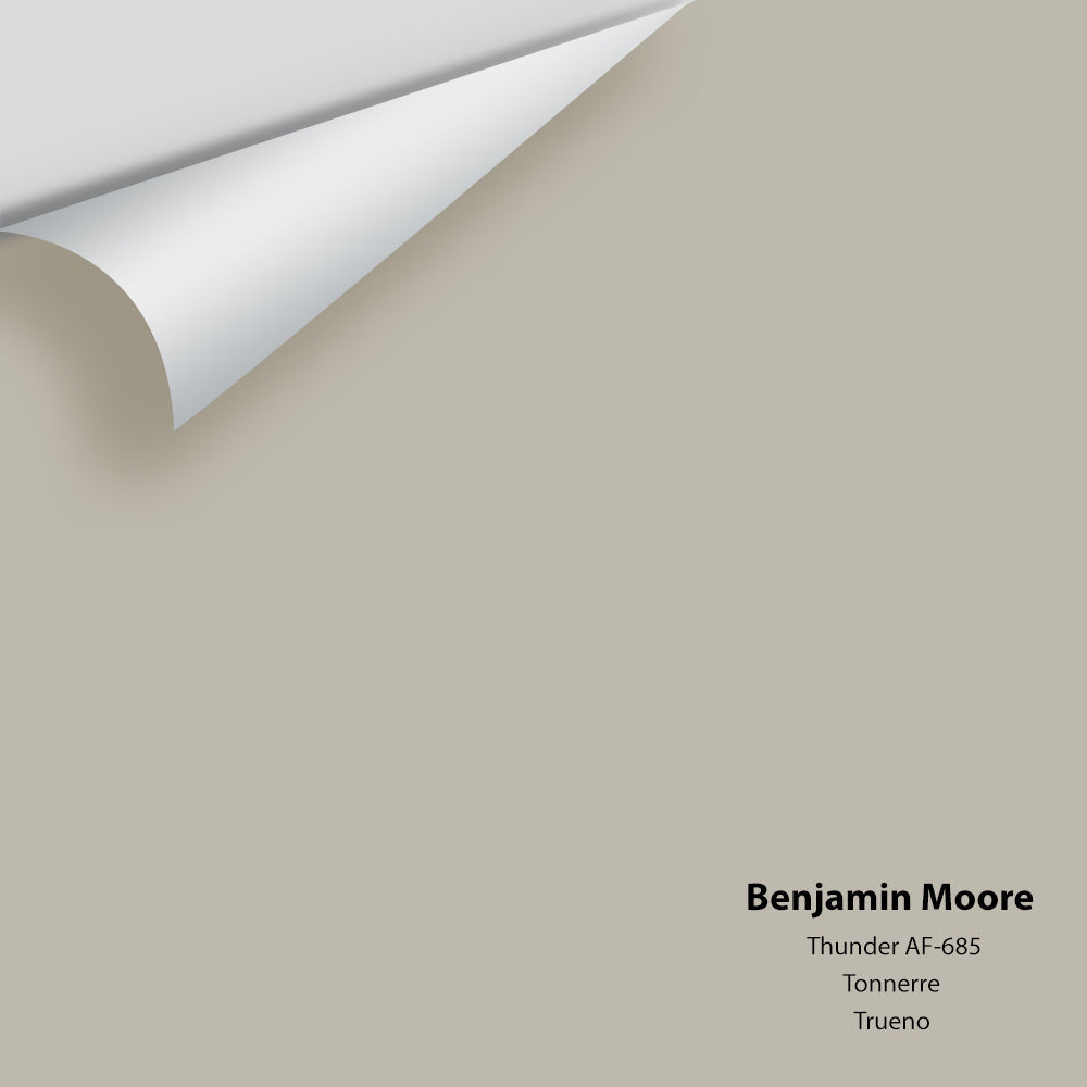 Benjamin Moore - Thunder AF-685 Colour Sample