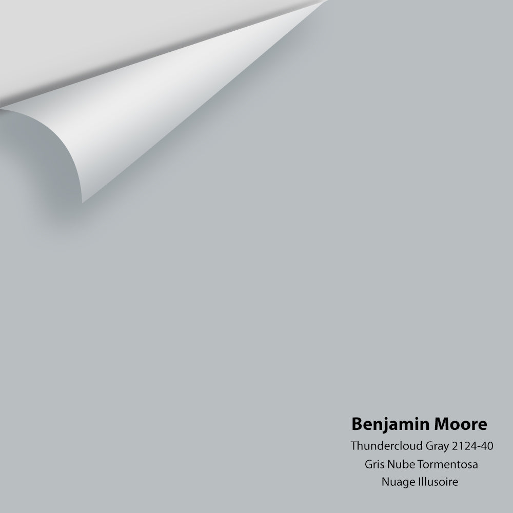 Benjamin Moore - Thundercloud Gray 2124-40 Colour Sample
