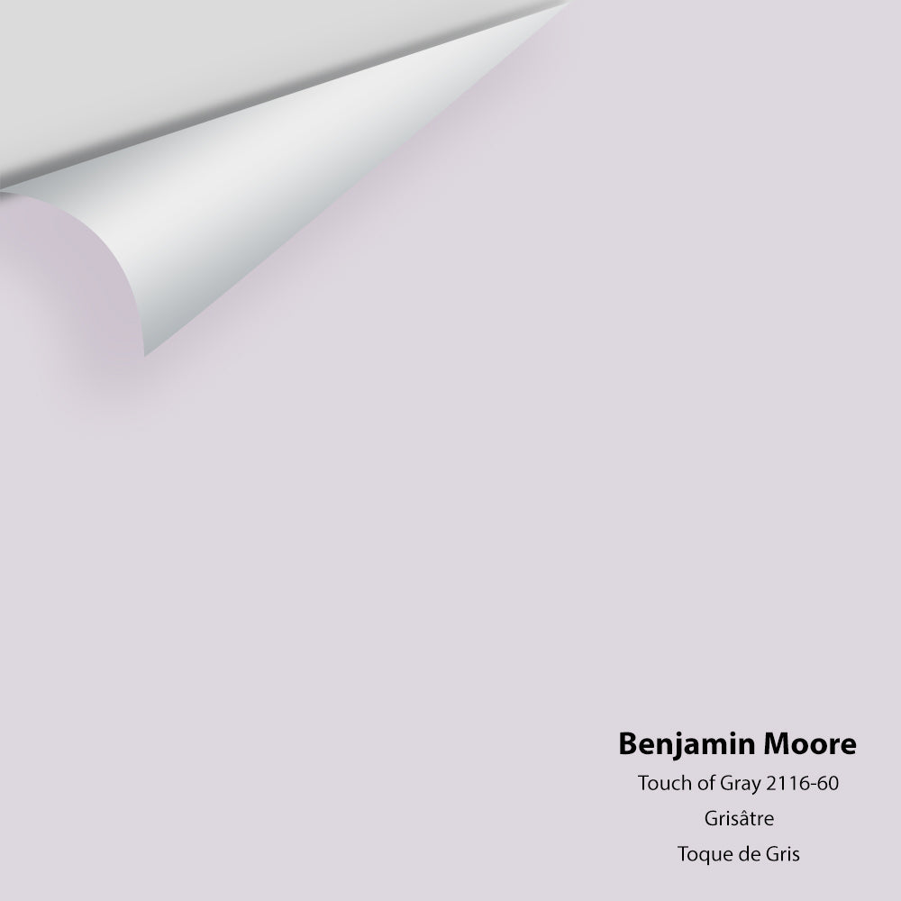 Big Paint Chip - Touch of Gray 2116-60