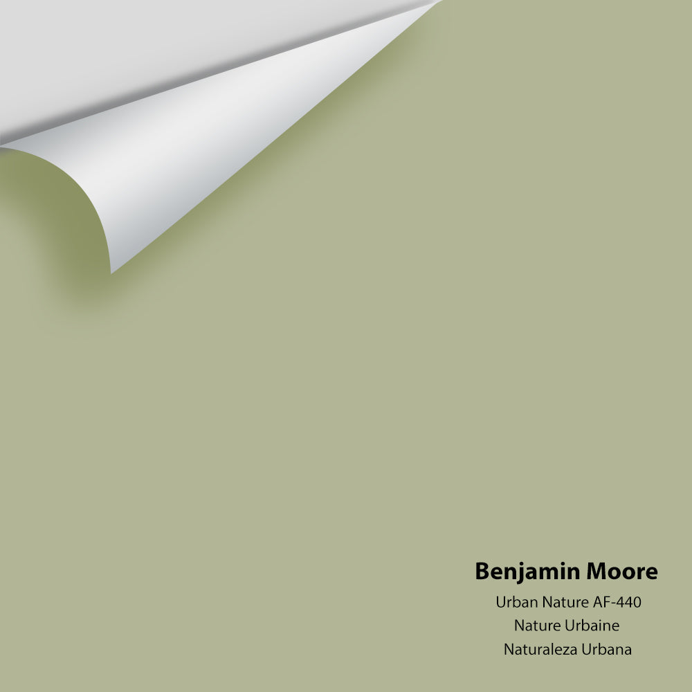 Benjamin Moore - Urban Nature AF-440 Colour Sample