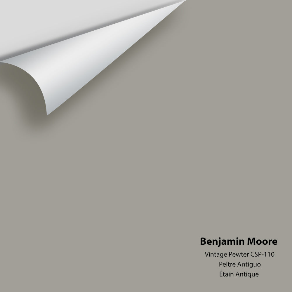 Benjamin Moore - Vintage Pewter CSP-110 Colour Sample
