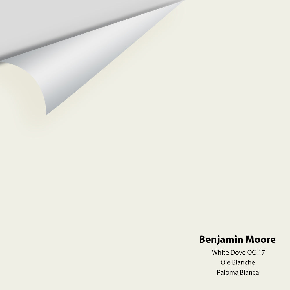 Benjamin Moore - White Dove OC-17 Colour Sample