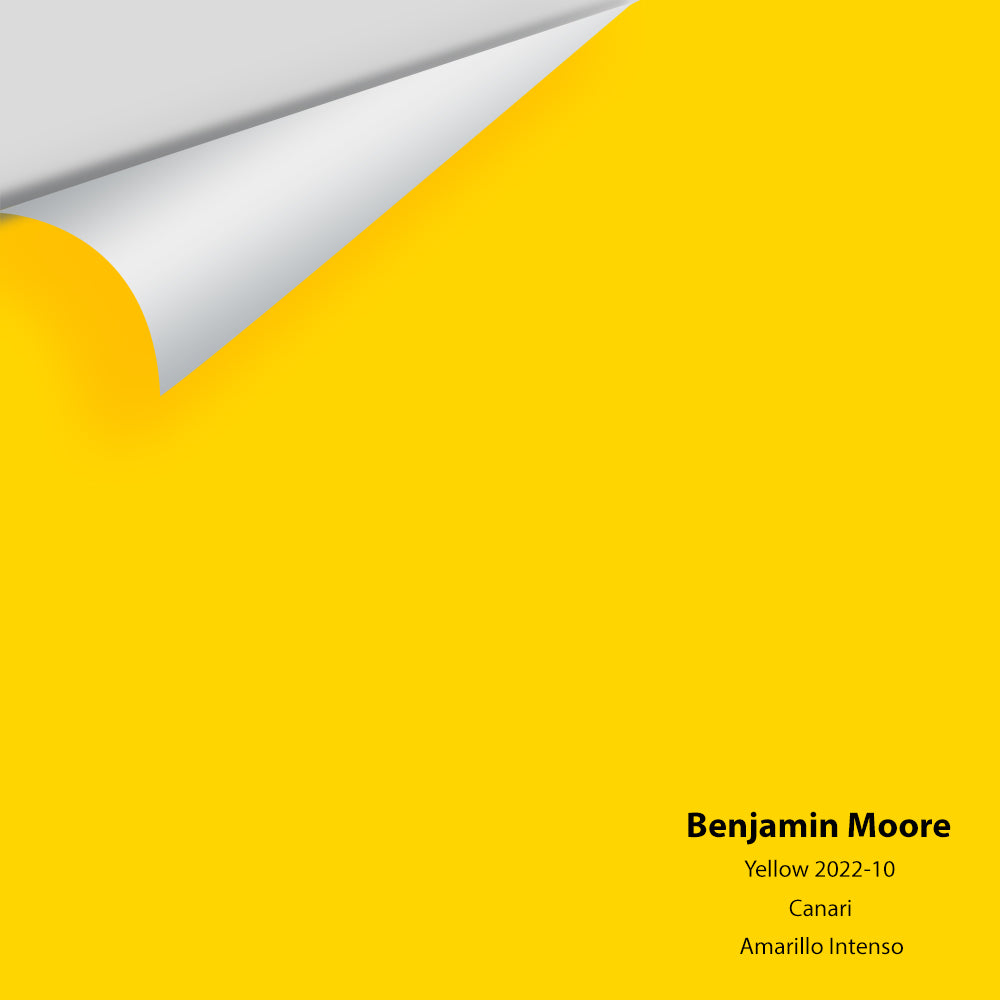 Big Paint Chip - Yellow 2022-10