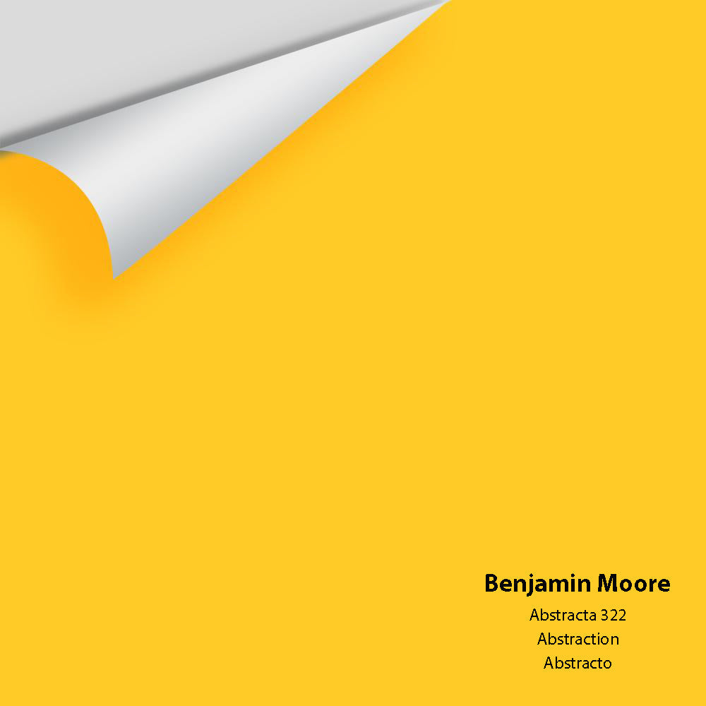 Big Paint Chip - Abstracta 322