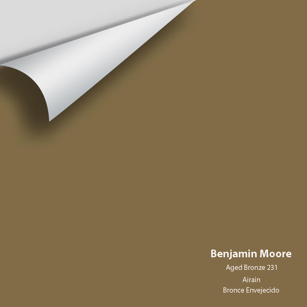 Benjamin Moore - Aged Bronze 231 Color Sample