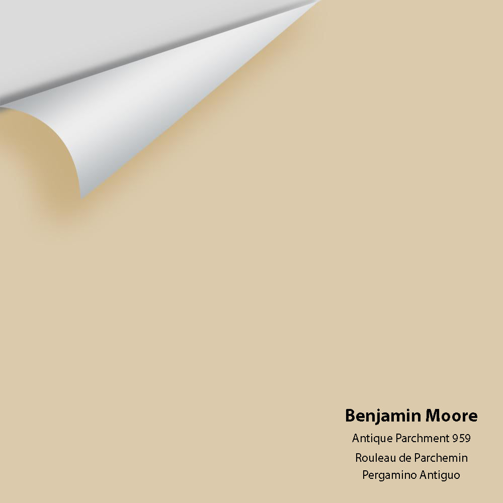 Benjamin Moore - Antique Parchment 959 Colour Sample