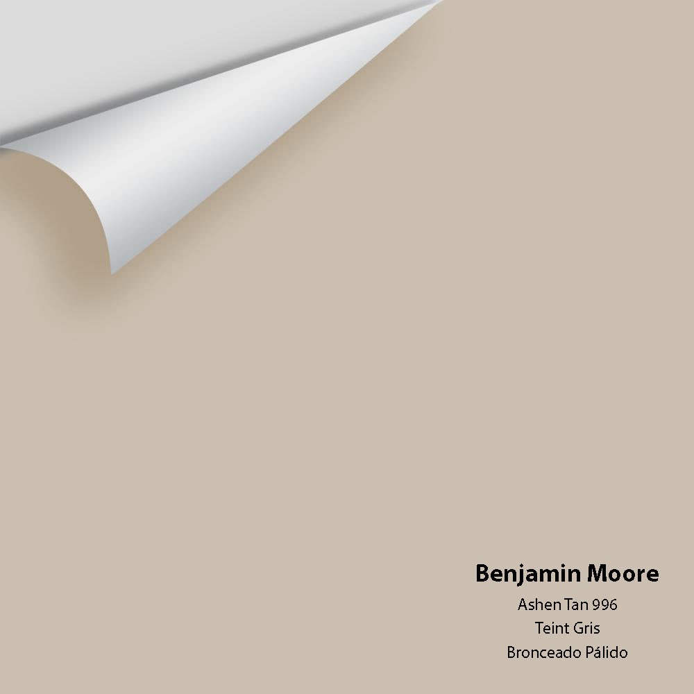 Benjamin Moore - Ashen Tan 996 Colour Sample