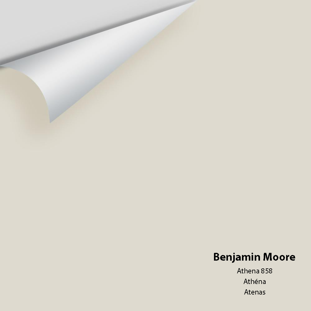 Benjamin Moore - Athena 858 Colour Sample
