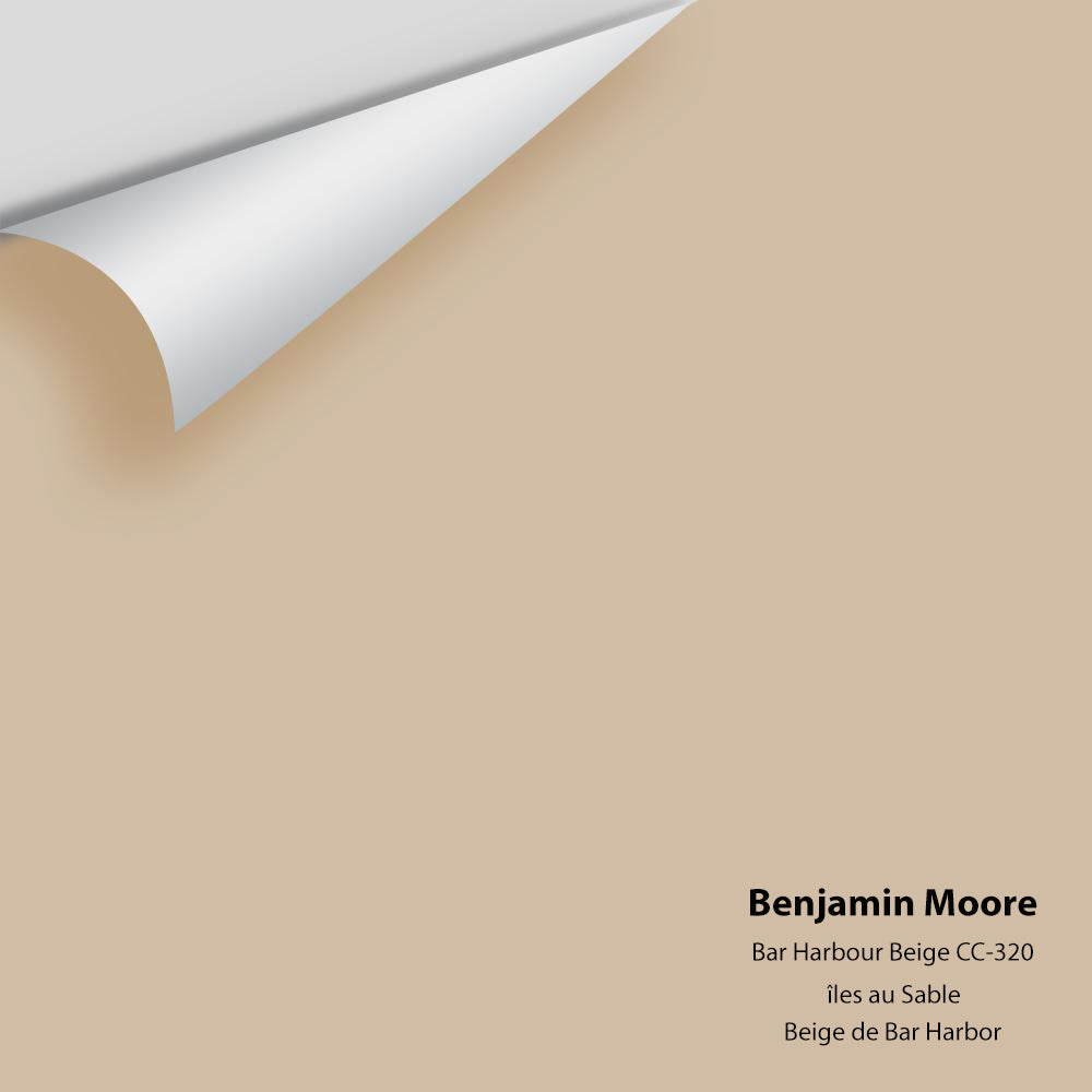 Benjamin Moore - Bar Harbour Beige 1032 / CC-320 Colour Sample