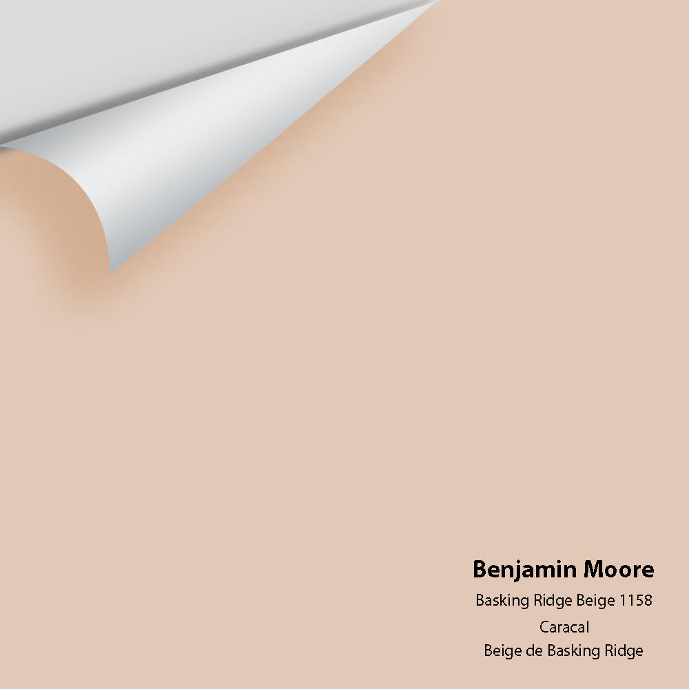 Big Paint Chip - Basking Ridge Beige 1158