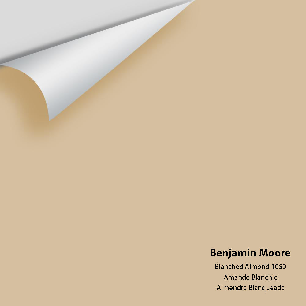 Big Paint Chip - Blanched Almond 1060
