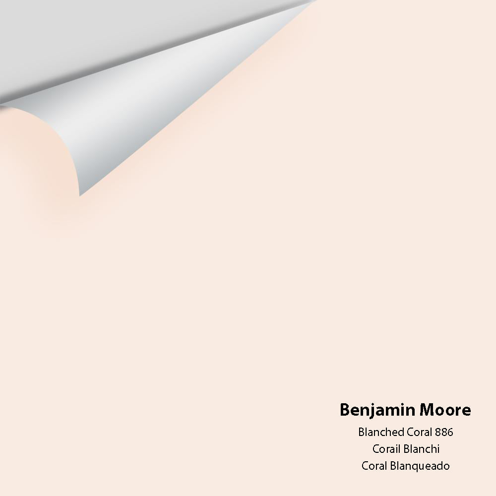 Big Paint Chip - Blanched Coral 886