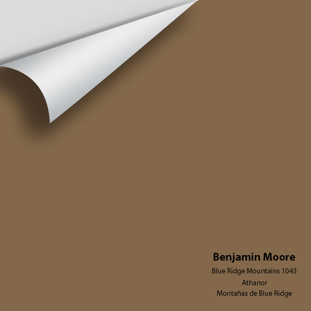 Big Paint Chip - Blue Ridge Mountains 1043
