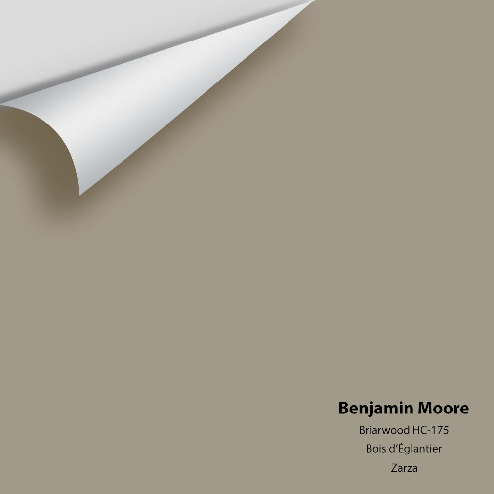 Benjamin Moore - Briarwood HC-175 Colour Sample