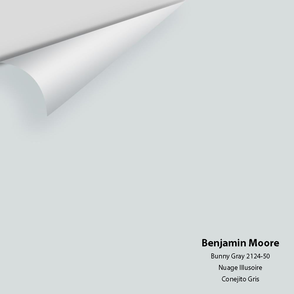 Benjamin Moore - Bunny Gray 2124-50 Colour Sample