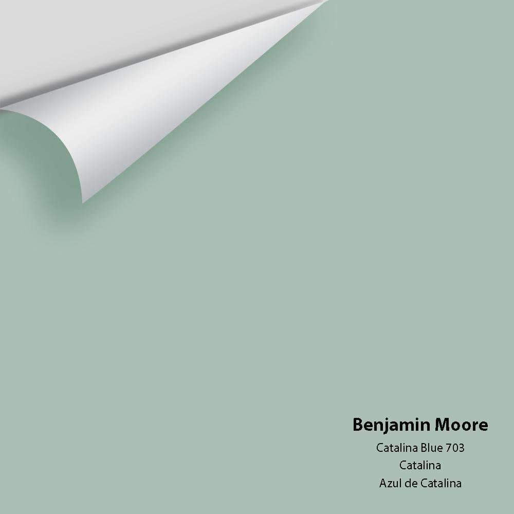 Benjamin Moore - Catalina Blue 703 Colour Sample