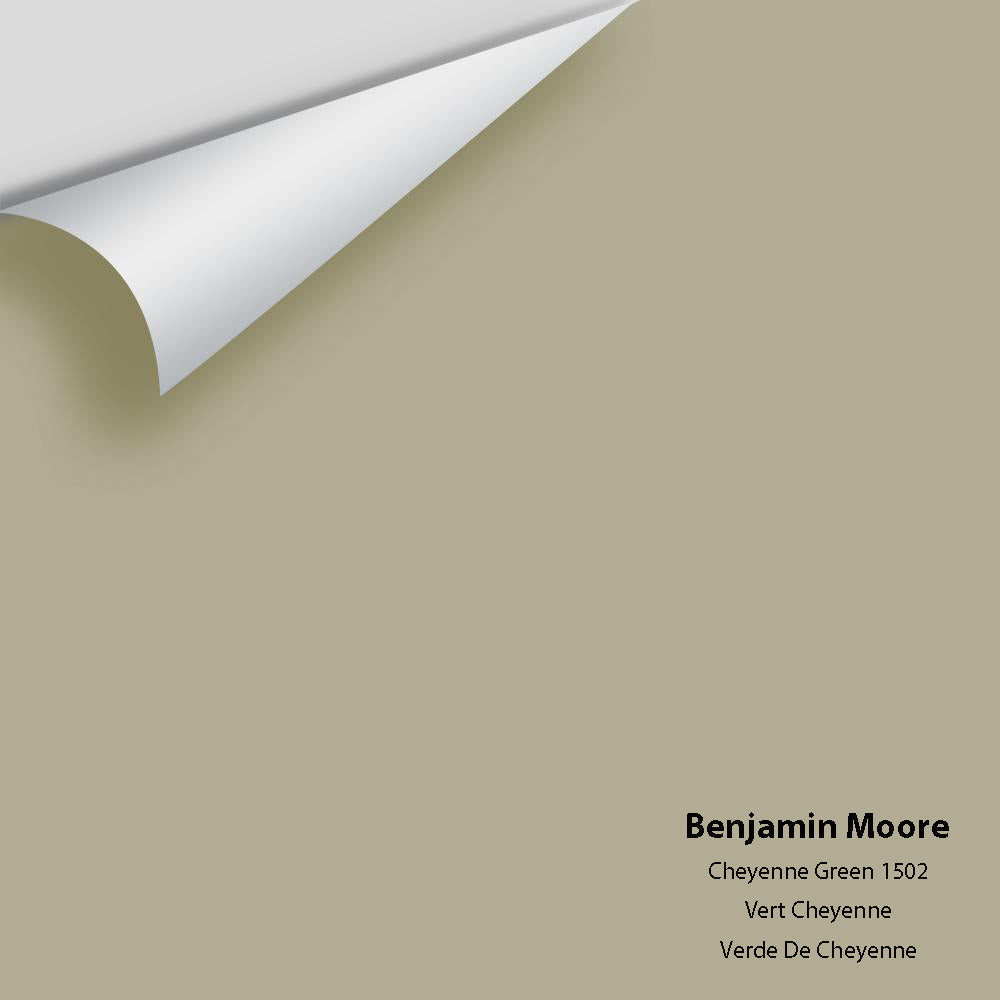 Benjamin Moore - Cheyenne Green 1502 Colour Sample