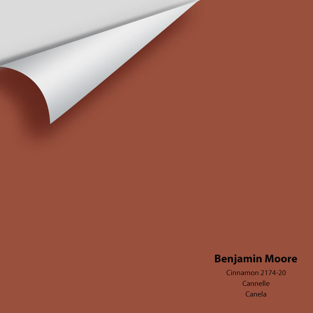 Benjamin Moore - Cinnamon 2174-20 Colour Sample