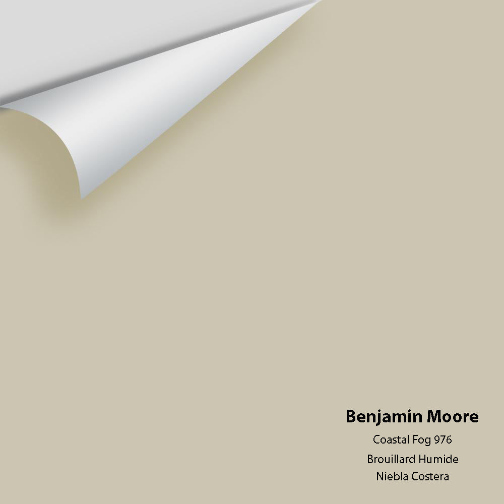 Benjamin Moore - Coastal Fog 976 Colour Sample