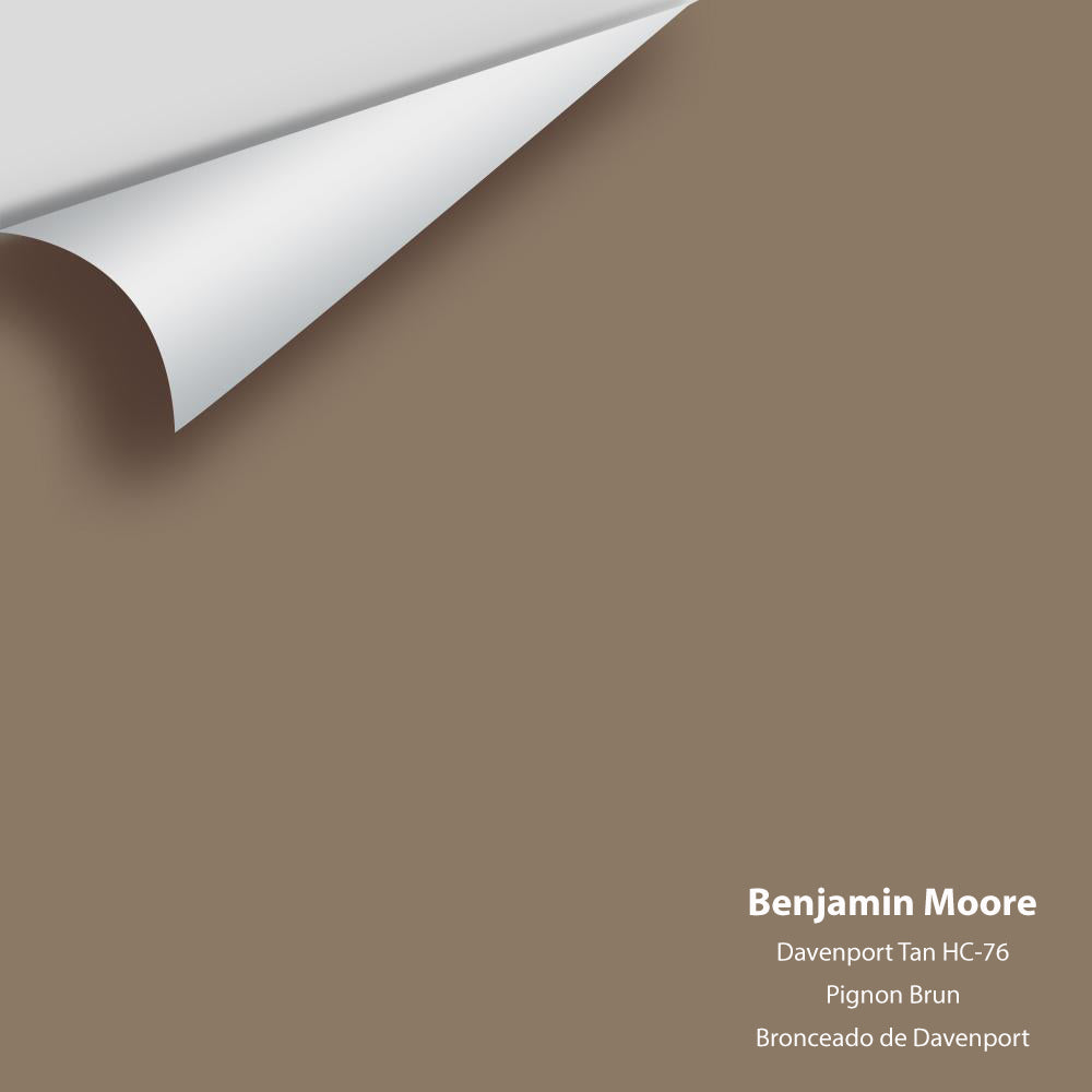 Big Paint Chip - Davenport Tan HC-76