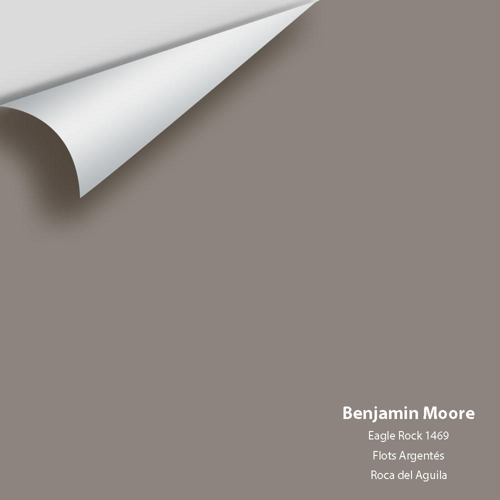 Benjamin Moore - Eagle Rock 1469 Colour Sample